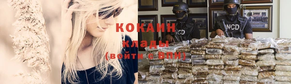 мдпв Каменногорск