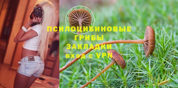 героин Каменка