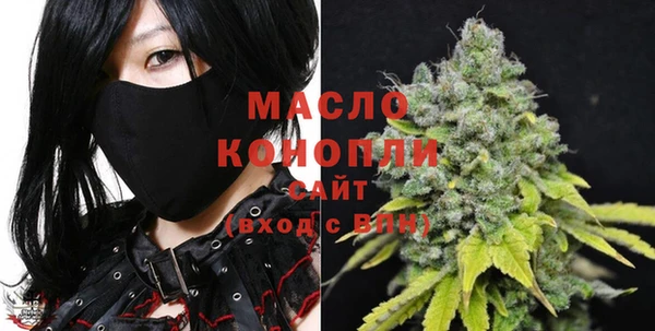 мдпв Каменногорск