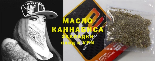 мдпв Каменногорск