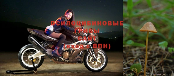 героин Каменка